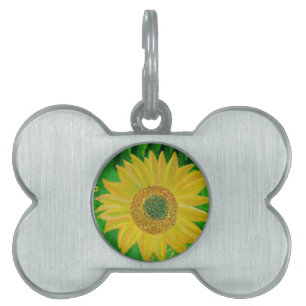 Sonnenblume Tiermarke