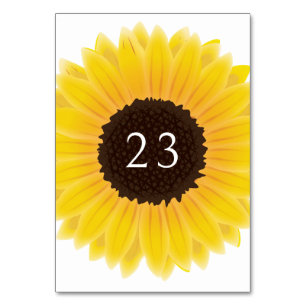 Sonnenblume Tischnummer