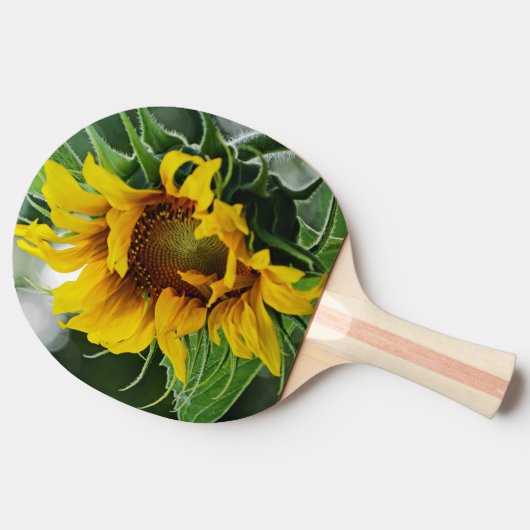 Sonnenblume Tischtennis Schläger (Seitenansicht)