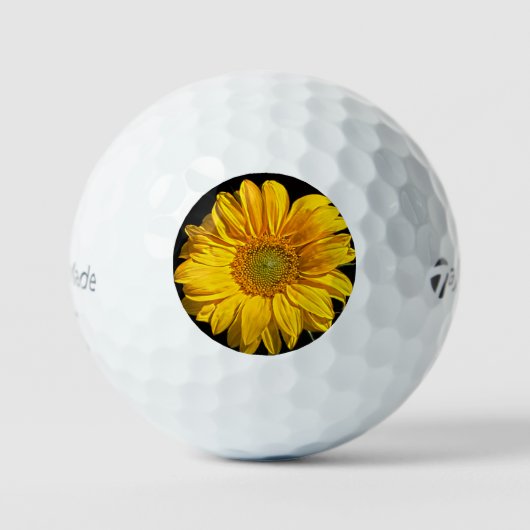Sonnenblume tmtp5 gbcna golfball (Vorderseite)
