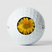 Sonnenblume tmtp5 gbcnm golfball (Vorderseite)