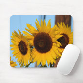 Sonnenblume-Trio Mousepad (Mit Mouse)