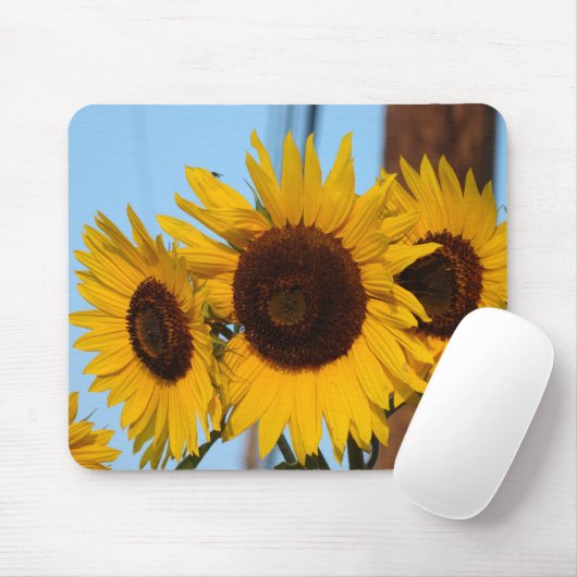 Sonnenblume-Trio Mousepad (Mit Mouse)