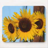 Sonnenblume-Trio Mousepad (Vorne)