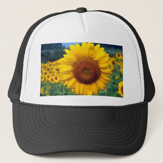 Sonnenblume Truckerkappe (Vorderseite)