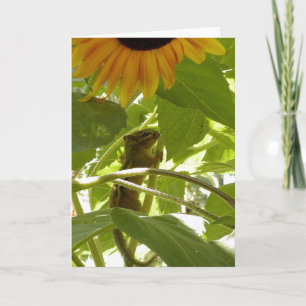Sonnenblume u. Chipmunk Karte