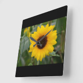 Sonnenblume Uhr (Winkel)