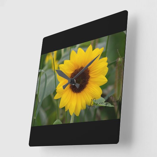 Sonnenblume Uhr (Winkel)