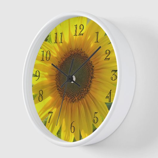 Sonnenblume Uhr (Winkel)