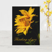 Sonnenblume und Bedeutung Karte (Gelbe Blume)