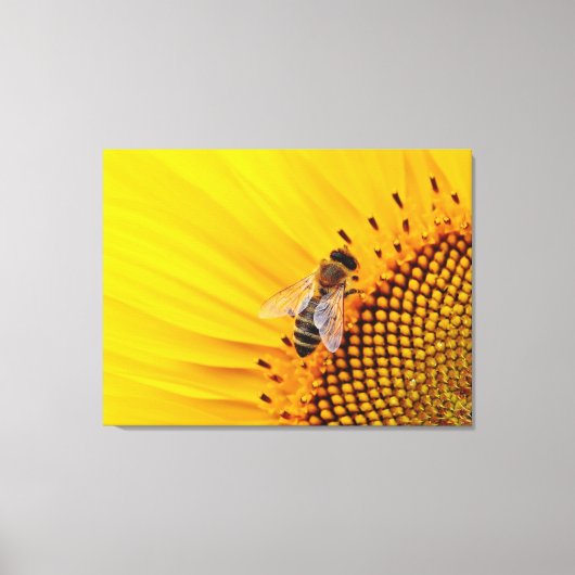 Sonnenblume und Biene Leinwanddruck (Vorderseite)