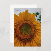 Sonnenblume und Biene Mitteilungskarte (Vorne/Hinten)