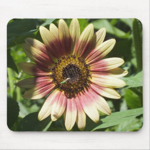 Sonnenblume und die grüne Biene Mousepad