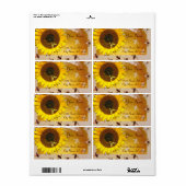 SONNENBLUME UND HONENBIE, BLÜHEN, BLÜHEN (Vorne)