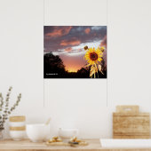 SONNENBLUME UND PINK SOMMERSONNE POSTER (Küche)