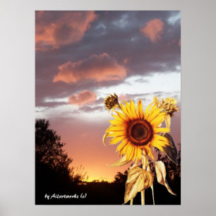 SONNENBLUME UND ROSA SOMMERSONNENUNTERGANG POSTER