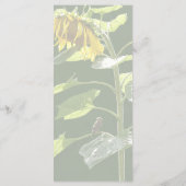 Sonnenblume und Spargel Menükarte (Rückseite)