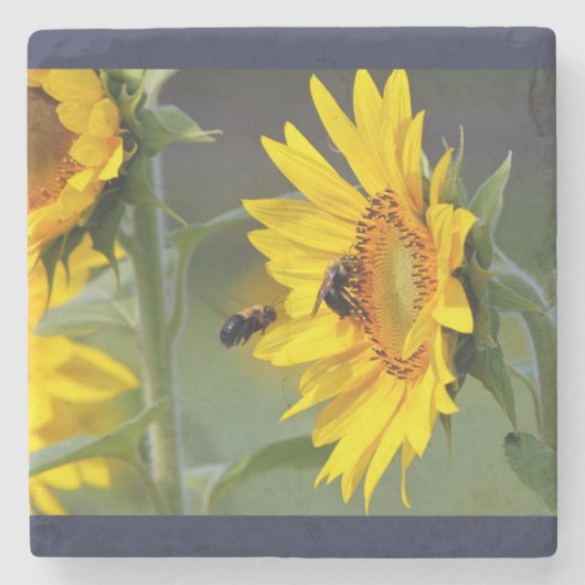 Sonnenblume Untersetzer (Vorderseite)