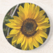 Sonnenblume-Untersetzer Sandstein Untersetzer (Vorne)