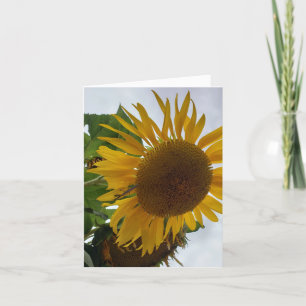 Sonnenblume: Verehrung, Loyalität - Eine glücklich Dankeskarte