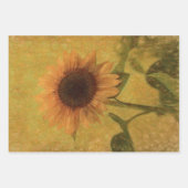 Sonnenblume Vintag Antike Gelbe Grüne Textur Geschenkpapier Set (Vorderseite 2)