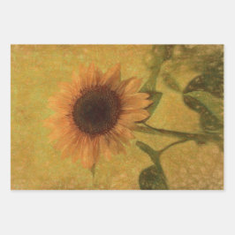 Sonnenblume Vintag Antike Gelbe Grüne Textur Geschenkpapier Set
