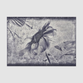 Sonnenblume Vintag Schwarz-Weiß-Antike Textur Seidenpapier