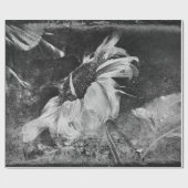 Sonnenblume Vintage antike Schwarz-Weiß-Textur Geschenkpapier (Flach)