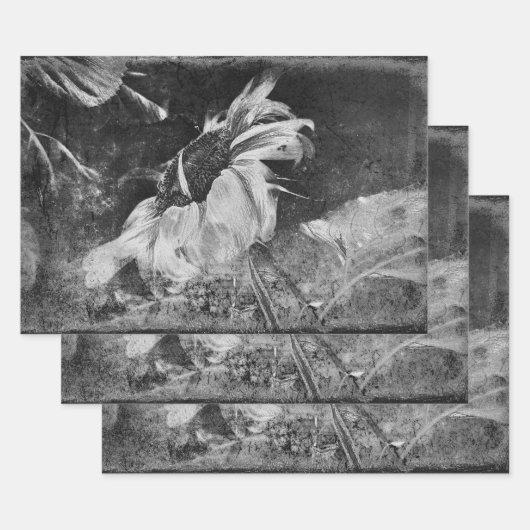 Sonnenblume Vintage antike Schwarz-Weiß-Textur Geschenkpapier Set (Set)