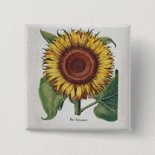 Sonnenblume Vintage Damast Blumenkunst Button