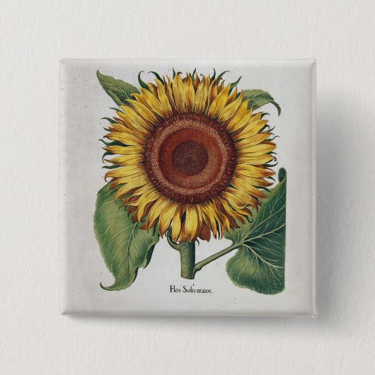 Sonnenblume Vintage Damast Blumenkunst Button (Vorderseite)