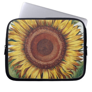 Sonnenblume Vintage Damast Blumenkunst Laptopschutzhülle