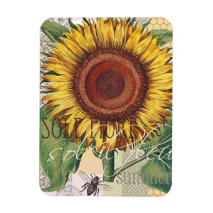 Sonnenblume Vintage Damast Blumenkunst Magnet