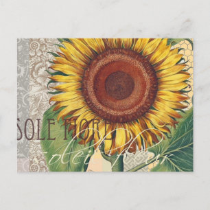 Sonnenblume Vintage Damast Blumenkunst Postkarte