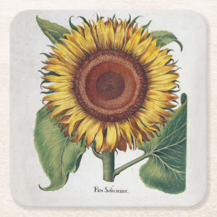 Sonnenblume Vintage Damast Blumenkunst Rechteckiger Pappuntersetzer