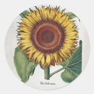 Sonnenblume Vintage Damast Blumenkunst Runder Aufkleber