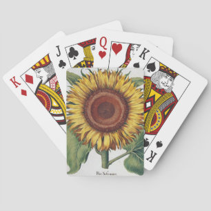 Sonnenblume Vintage Damast Blumenkunst Spielkarten