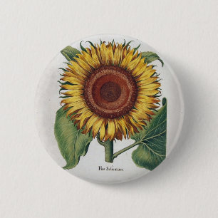 Sonnenblume Vintage Damast Blumenmuster Kunst Button