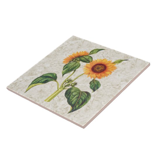Sonnenblume-Vintages botanisches Fliese (Seite)