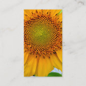 Sonnenblume Visitenkarte (Vorderseite)