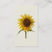 Sonnenblume Visitenkarte (Rückseite)