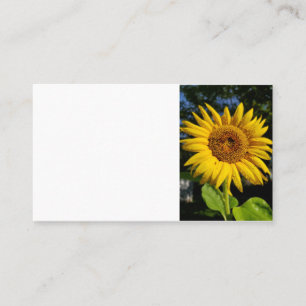 Sonnenblume Visitenkarte