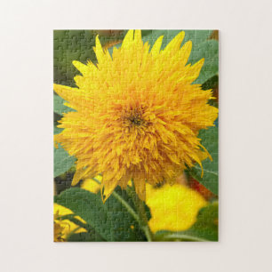 Sonnenblume vor Blüte Puzzle