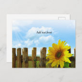 Sonnenblume Vorder- und Rückseite Postkarte (Vorne/Hinten)