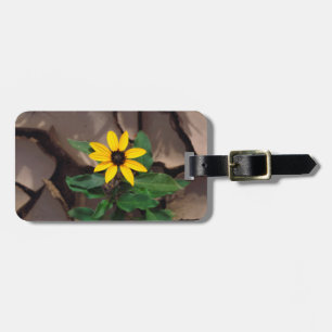 Sonnenblume wächst aus aufgesprungenem Schlamm Gepäckanhänger