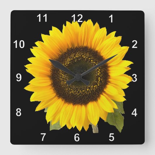 Sonnenblume-Wanduhr Quadratische Wanduhr (Vorderseite)