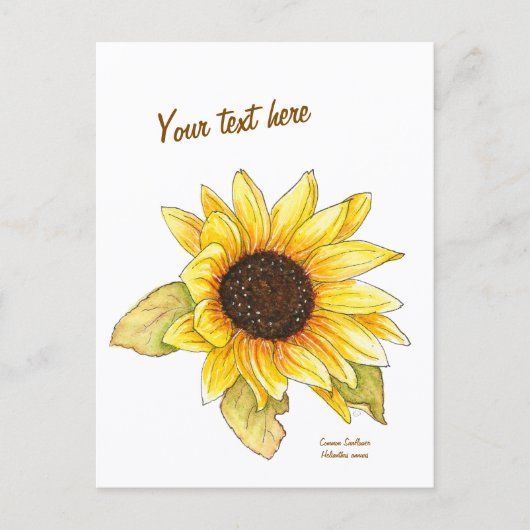Sonnenblume Wasserfarbe anpassbare Postkarte (Vorderseite)