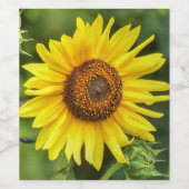 Sonnenblume Weinetikett (Einzelnes Label)