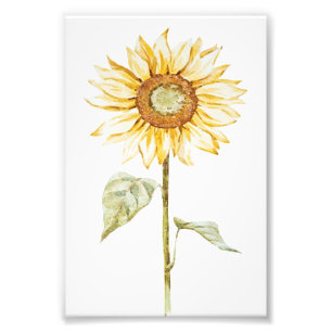 Sonnenblume zeichnen - Vintage lustiges Geburtstag Fotodruck