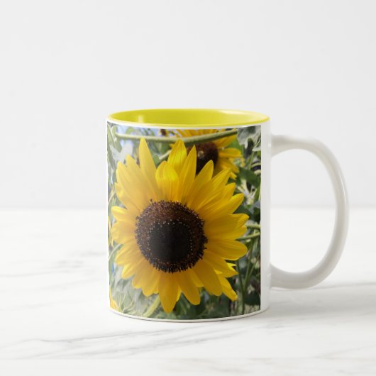 Sonnenblume Zweifarbige Tasse (Rechts)